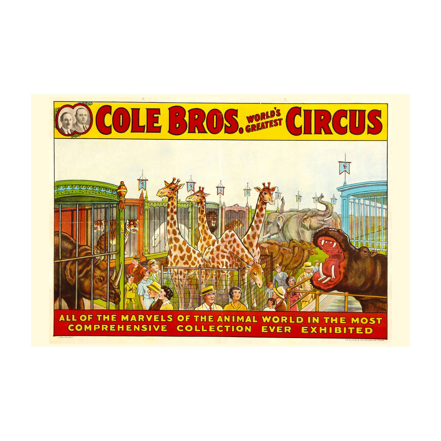 1015-51 Cole Bros. World's Greatest Circus