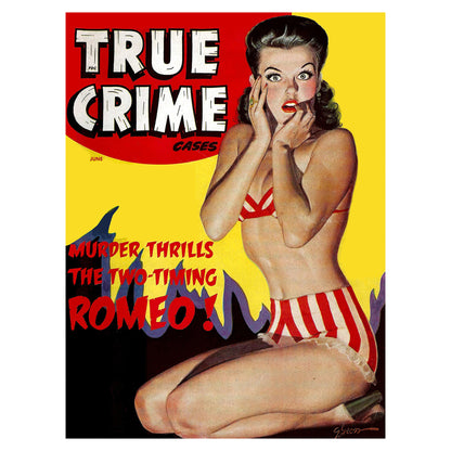 True Crime Cases 4806