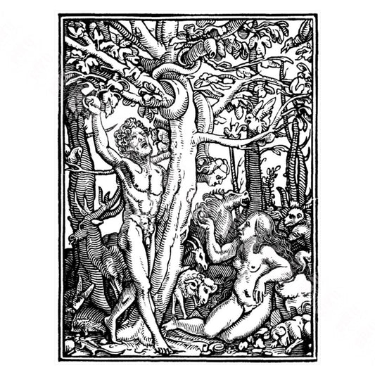 Hans Holbein's Danse Macabre #2: Adam and Eve in The Garden of Eden