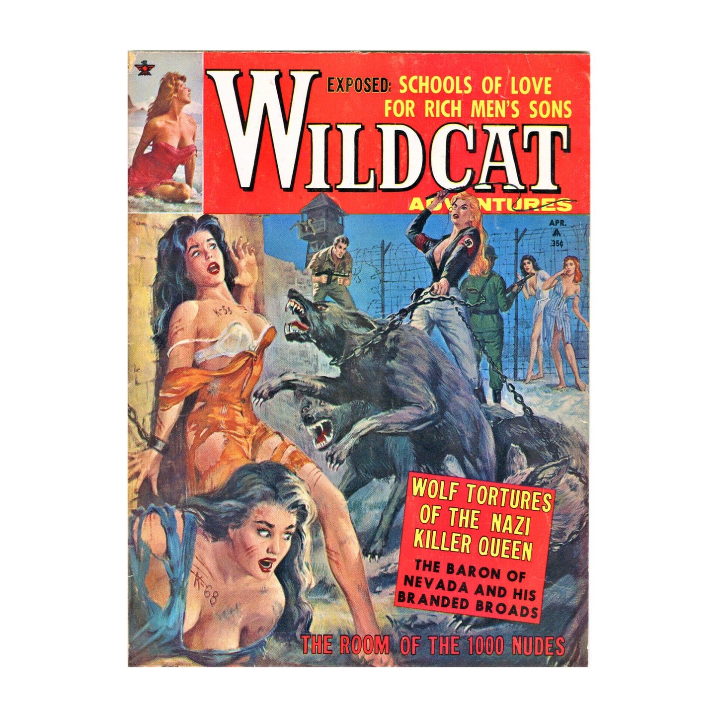 Wildcat Adventures 6204