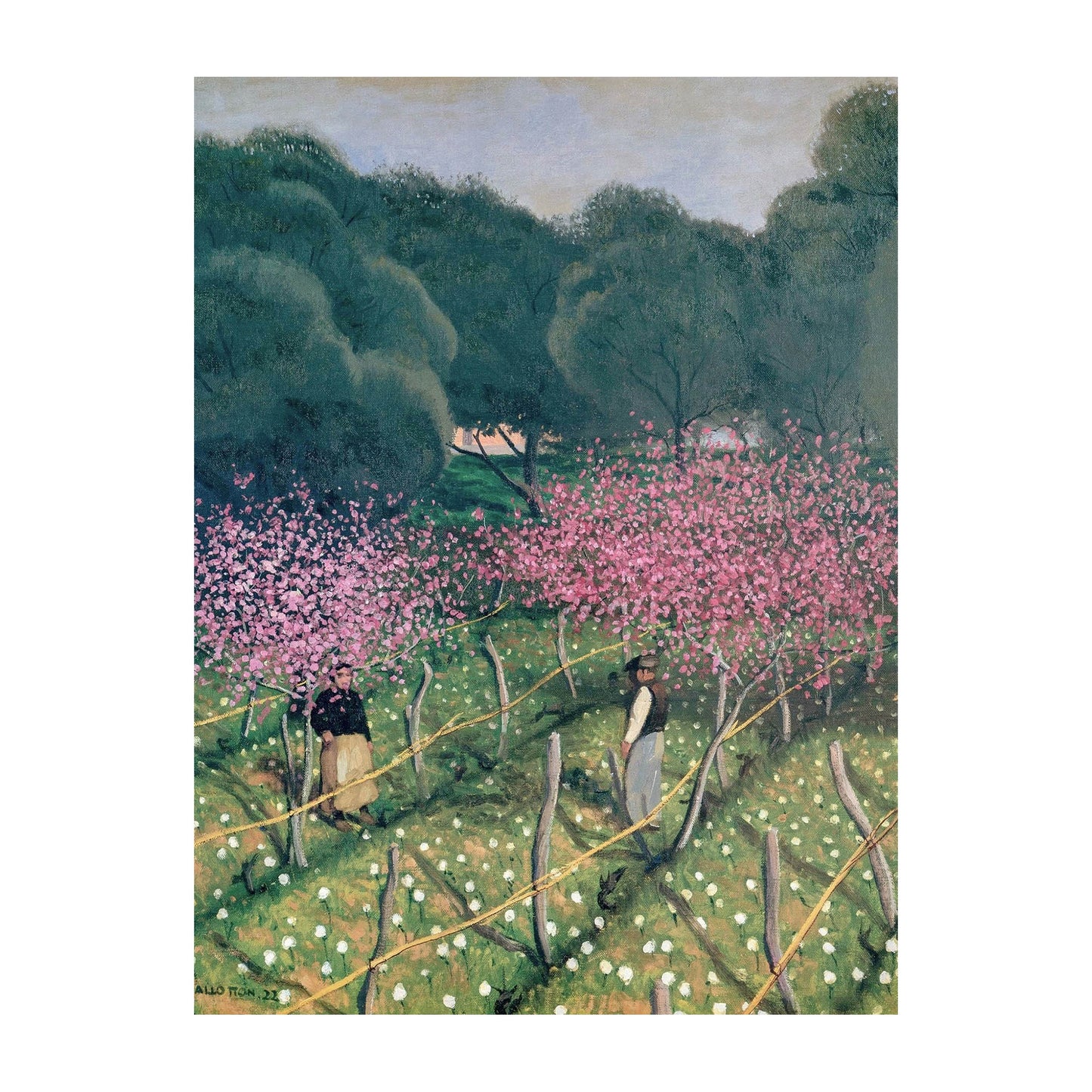 Flowering Peach Trees - Felix Vallotton