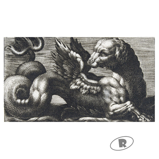 Winged Sea Monster With a Dog's Head - Giovanni Andrea Maglioli