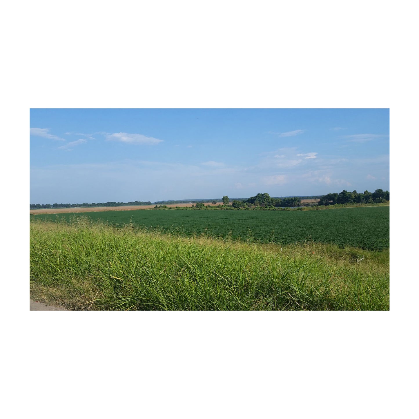 Grasslands,Along Rte 66 - Oklahoma, 2015