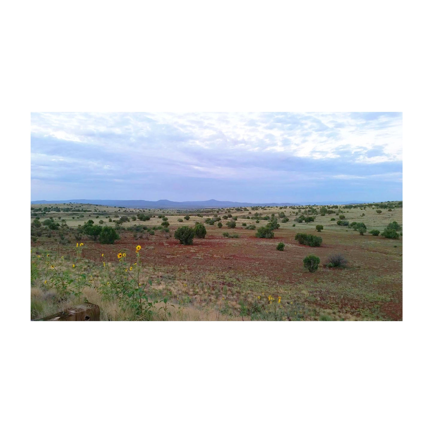 The Big Wide Open, Along Rte 66 - Oklahoma, 2015