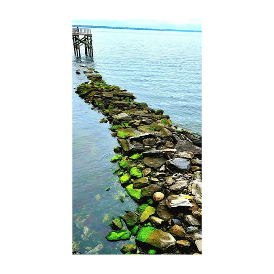 Near the Fishing Dock, Rocky Point Park - Warwick, RI